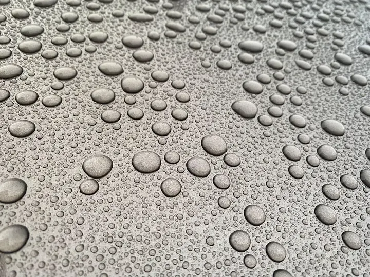 Water beading on protected paint